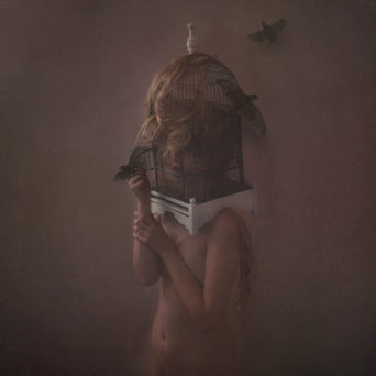 The Dear Hunter "Migrant" - CD