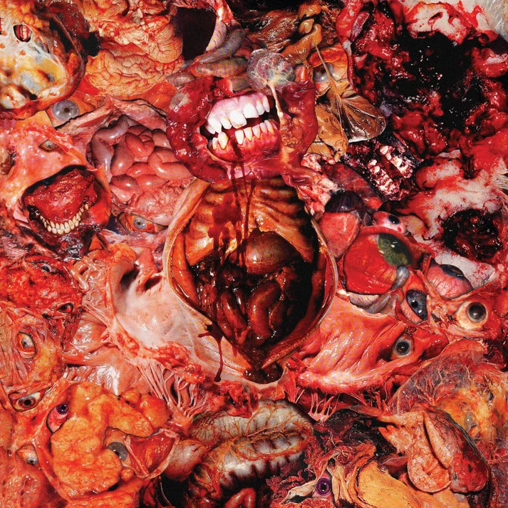 FesterDecay - From Demo To Rot